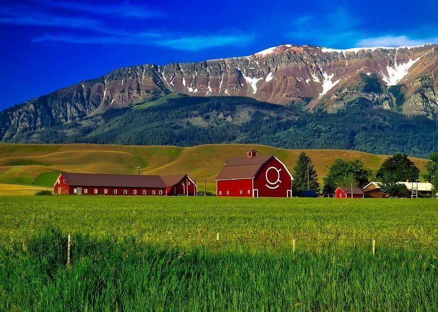 #10. Oregon